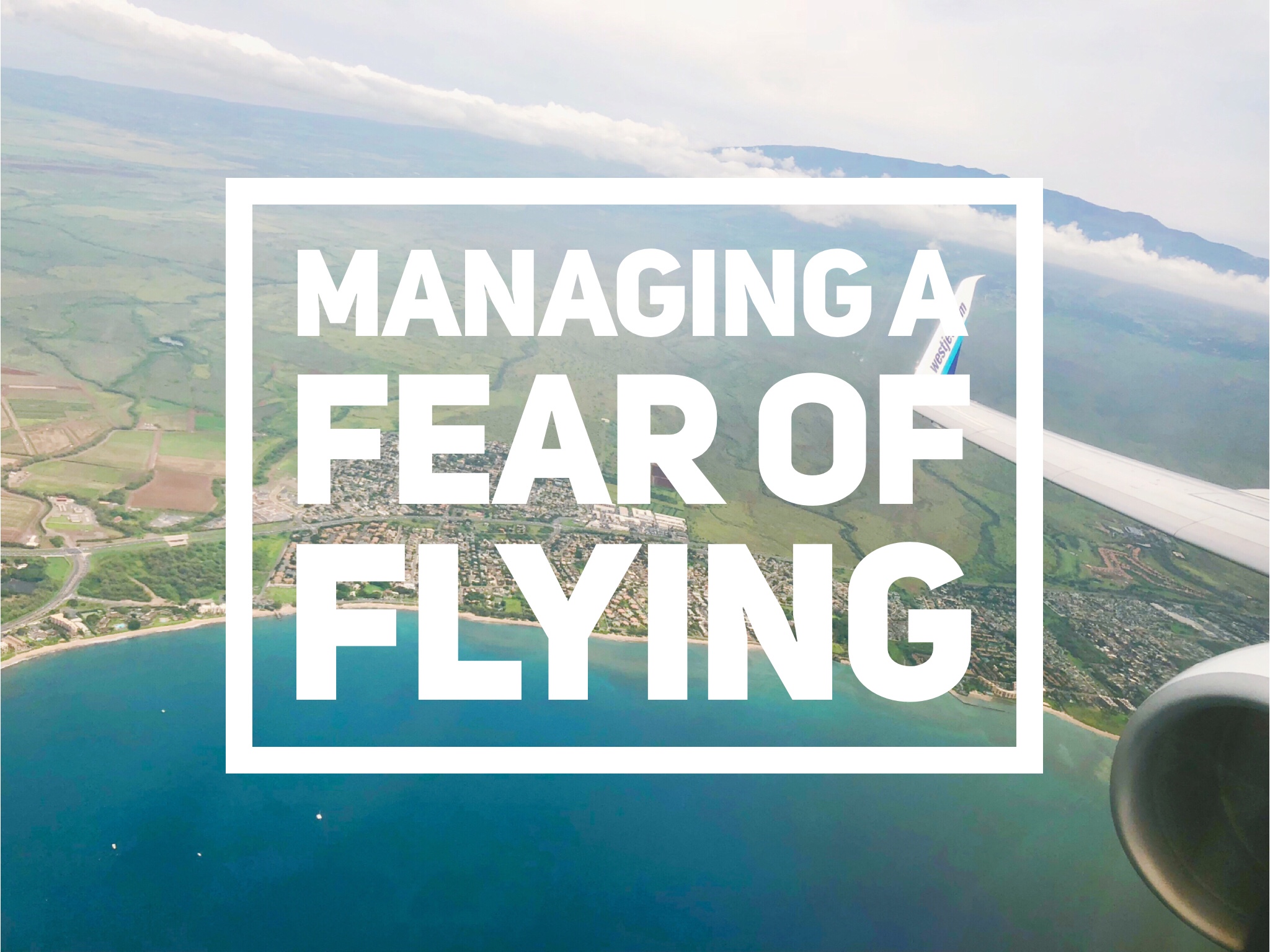 Anxiety, Fear, Panic Attack, Fear of Flying, Airplane, Claustrophobia
